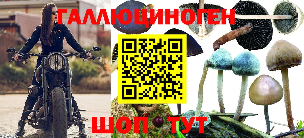 купить   Вход с VPN  Сафоново  Галлюциногенные грибы Magic Shrooms 